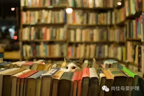 家政服務(wù)員中五大錯誤要點(diǎn)，您中招了嗎？